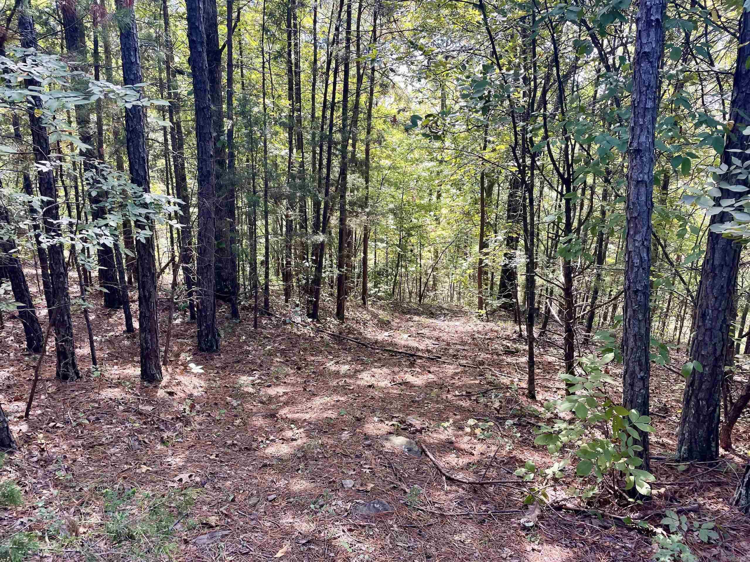 Not in Subdivision - Land