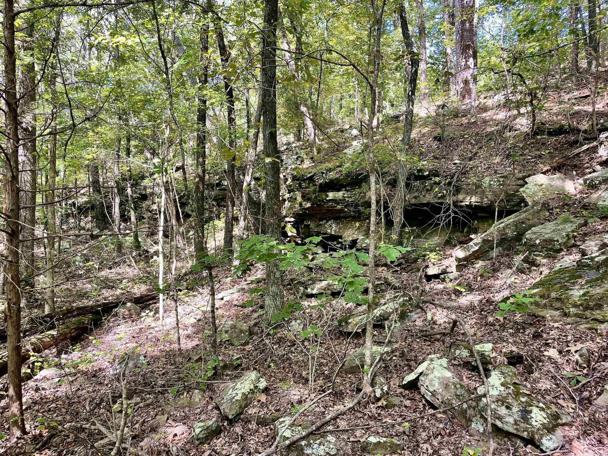 Not in Subdivision - Land