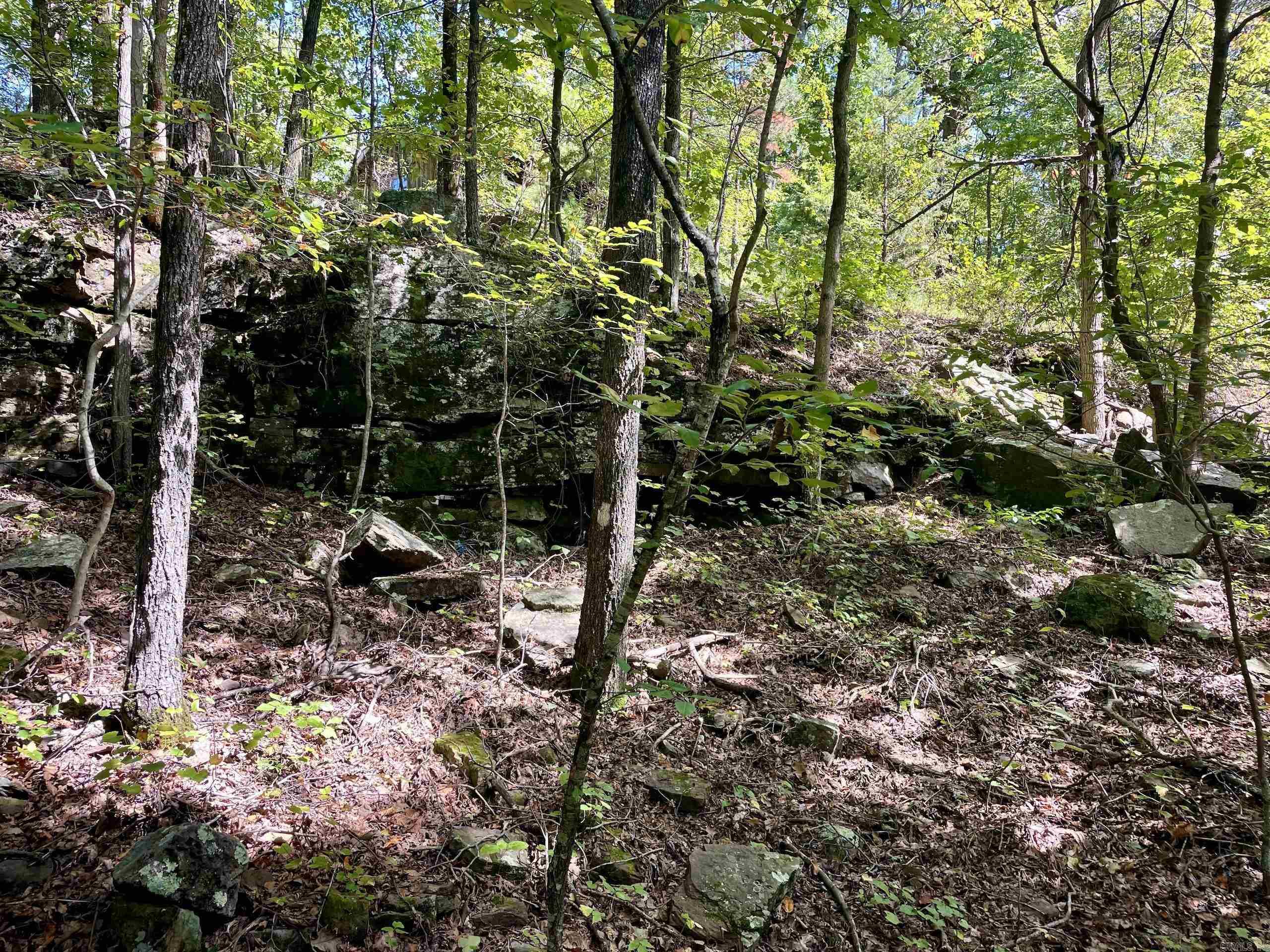 Not in Subdivision - Land