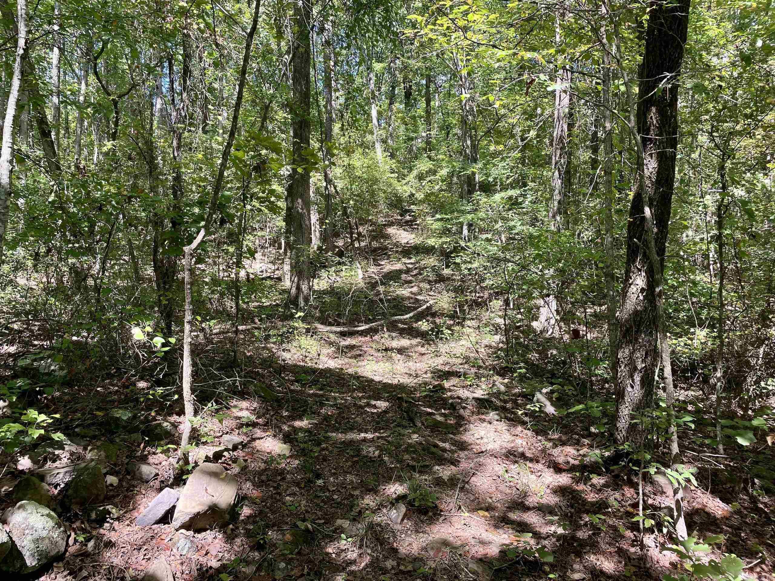 Not in Subdivision - Land