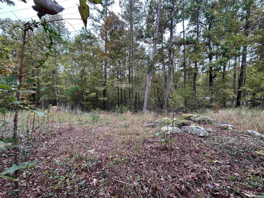 Quiet little lot with nature all around. Perfect to build a small home for long term or vacation stay. This lot has a small creek running threw it which is perfect for the animal watching. Come get this before its gone !!!
