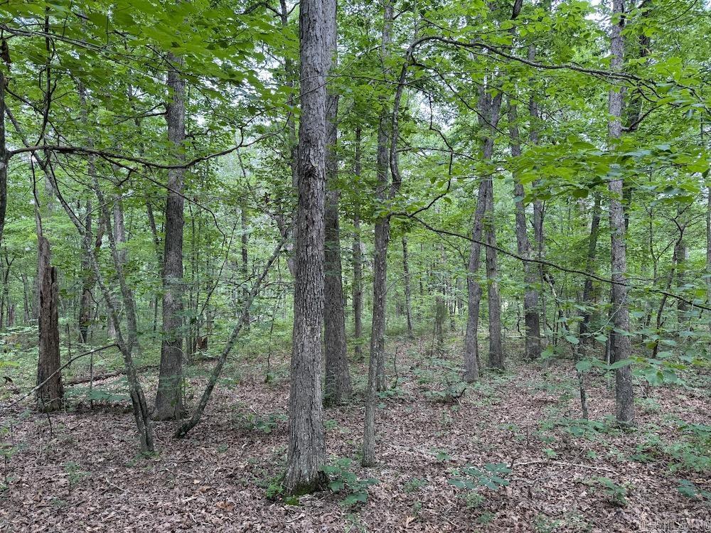 Not in Subdivision - Land