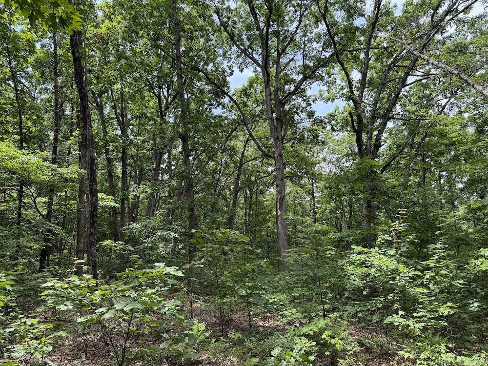 Not in Subdivision - Land