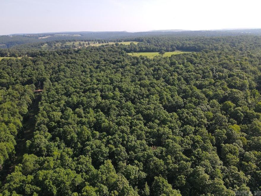 What a gorgeous recreational wooded tract with quality access, utilities, and multiple building sites. Loaded with mature white oak and red oak timber, this property lays very level and is just minutes from Harrison and Ponca, AR. Its ideal location makes it a valuable asset for nearly any use. Gentle, flat areas throughout the property are both scenic and functional—perfect for building your dream home or a peaceful cabin in the woods. The rolling topography makes hiking and exploring easy, and the surrounding area is known for its rich wildlife, including excellent deer and turkey hunting. The northern boundary is fronted by a gravel county road for great access, with electric bordering the western edge and water available along the road. Whether you want a private retreat, a recreational haven, or a spot to put down roots, this tract delivers. Imagine escaping to your own timbered paradise, just minutes from floating or paddling the Buffalo National River. The opportunity to bring your dreams to life is right here in the Ozarks—call today to schedule your private showing.