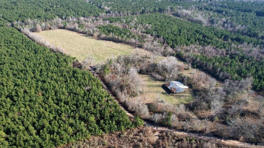 With no zoning or deed restrictions, welcome to a life of total freedom, but with power and water available along the newly resurfaced Ellison Road, you won’t have to sacrifice urban conveniences.  -No Restrictions! -Perfect Mix of Clearing + Woods -Very Buildable: Flat, No Floodplain, Cleared -Water & Power along Road -New Road & Drainage Infrastructure -New Survey