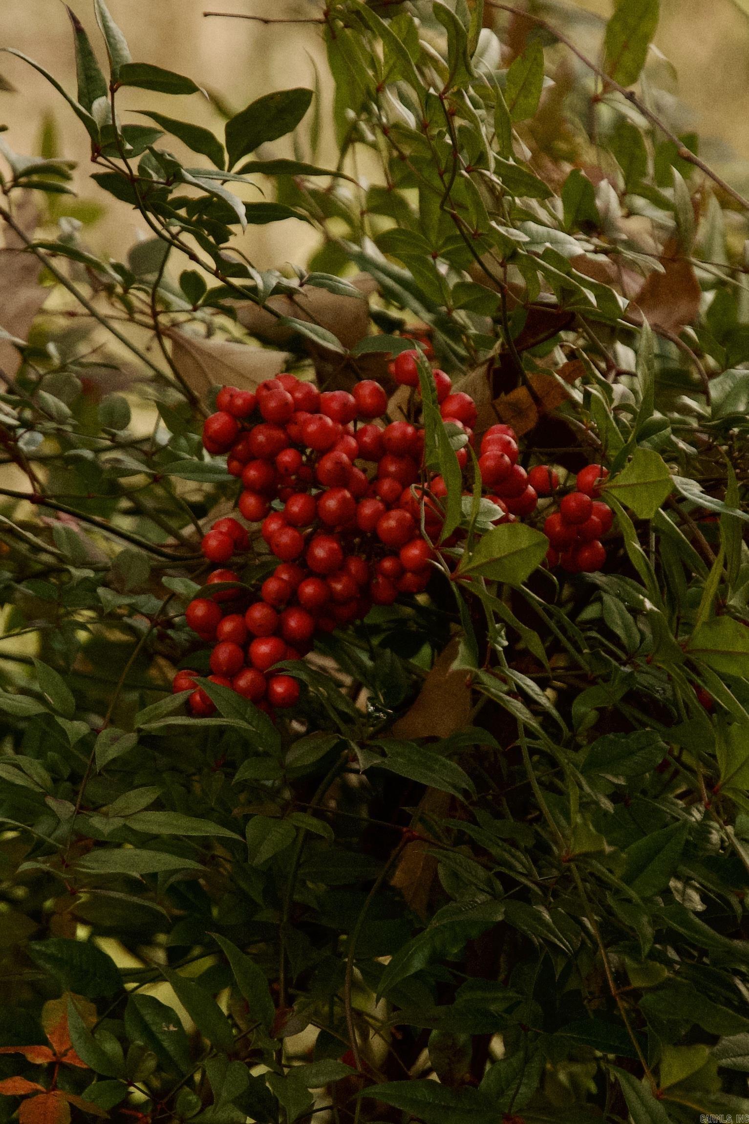 Ridges Phase I - Residential