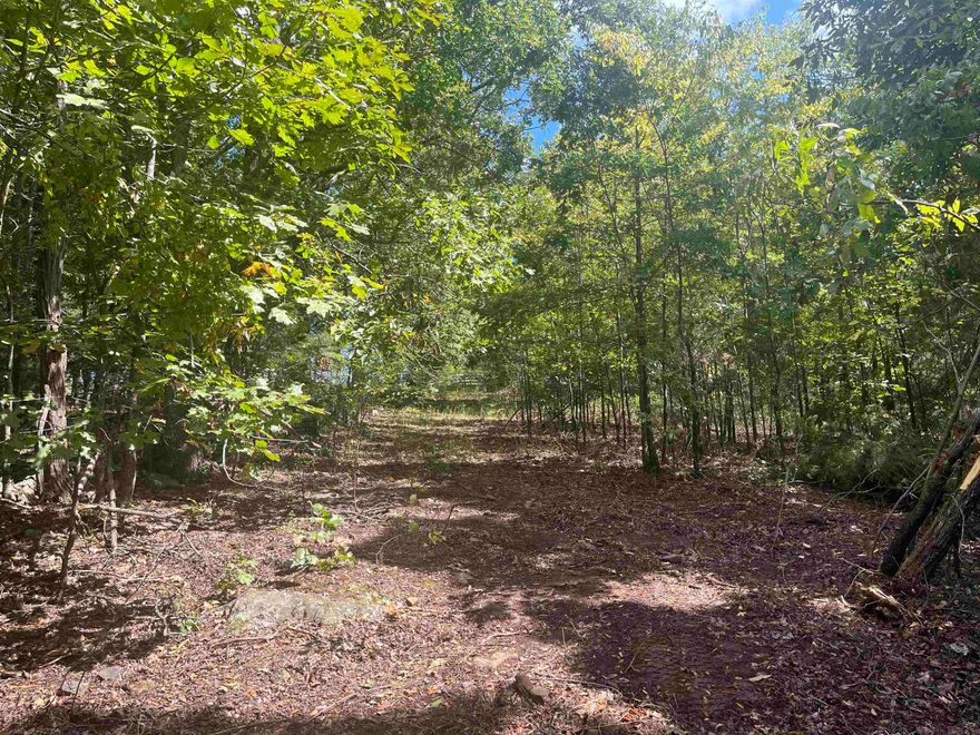 This 40 acre tract is secluded yet close to all of the amenities a rural community has to offer. This acreage is perfect for recreation, a homestead, a cabin, or a conventional home.