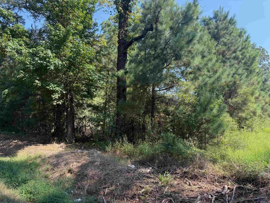 Very nice 17 acres with Hwy 53 road frontage.  Get the feel of country living but not far from town.  Great location for a hunting camp or a residential home. Utilities are at the road.  See agent remarks.