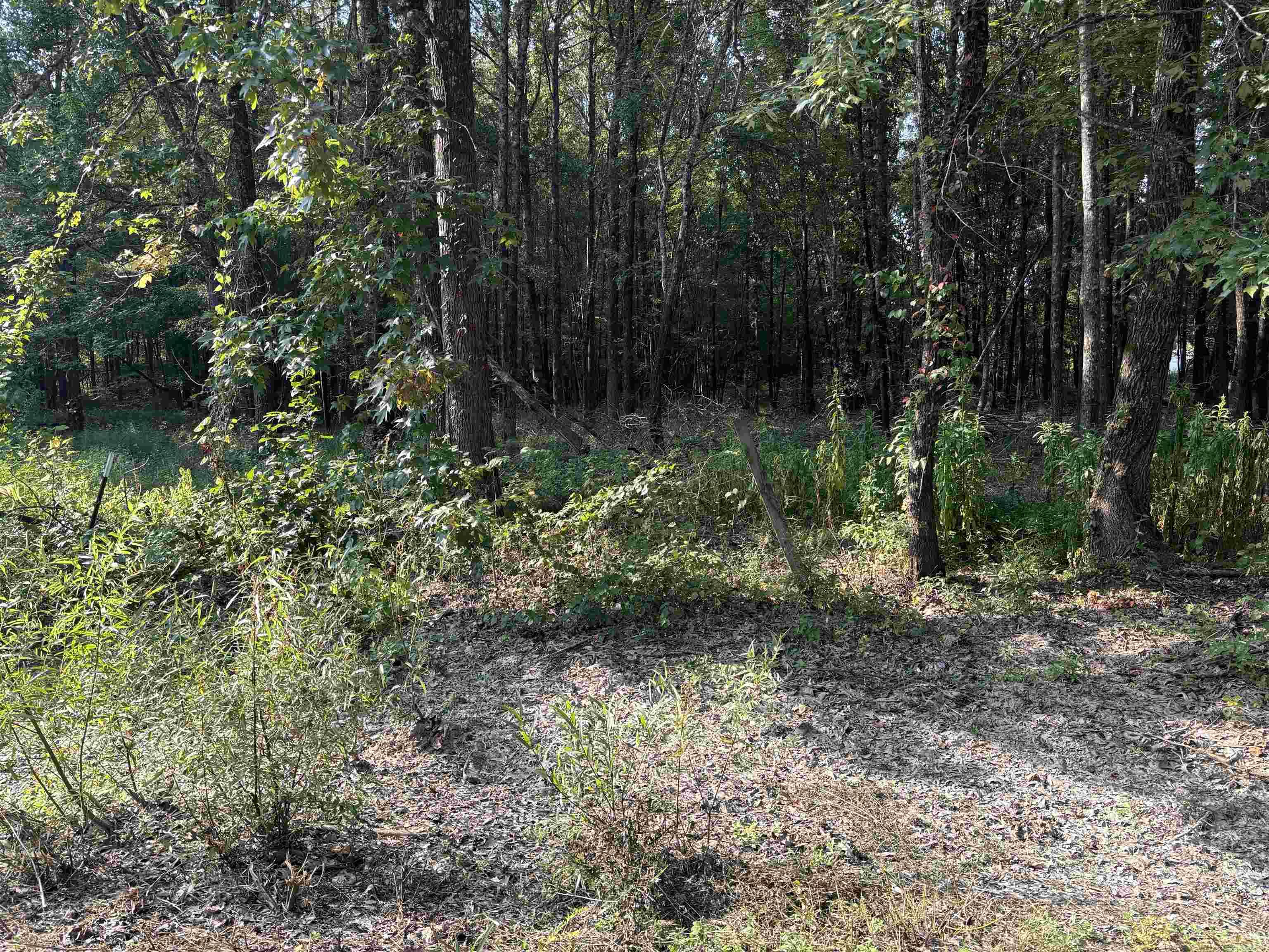 Property is in Cul-De-sac. Be a great place to build your dream home or put a manufactured home on. Water and electric on property. Seller is not sure about septic. Health dept has no records of one. Logging trailer on property does not convey. It will be moved. Seller does not own minerals. **AGENTS SEE REMARKS**