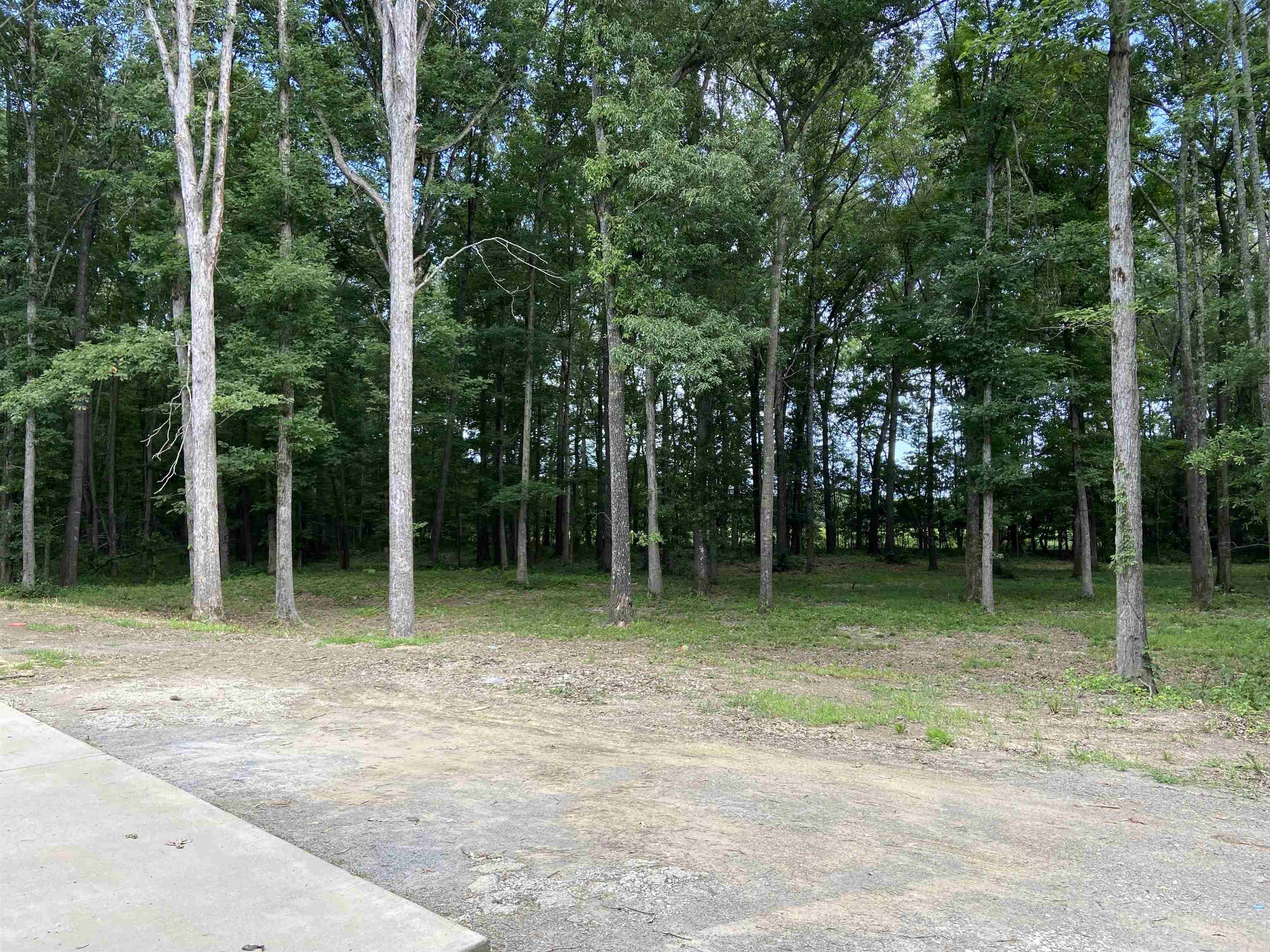 BEEBE OUTLOTS - Residential