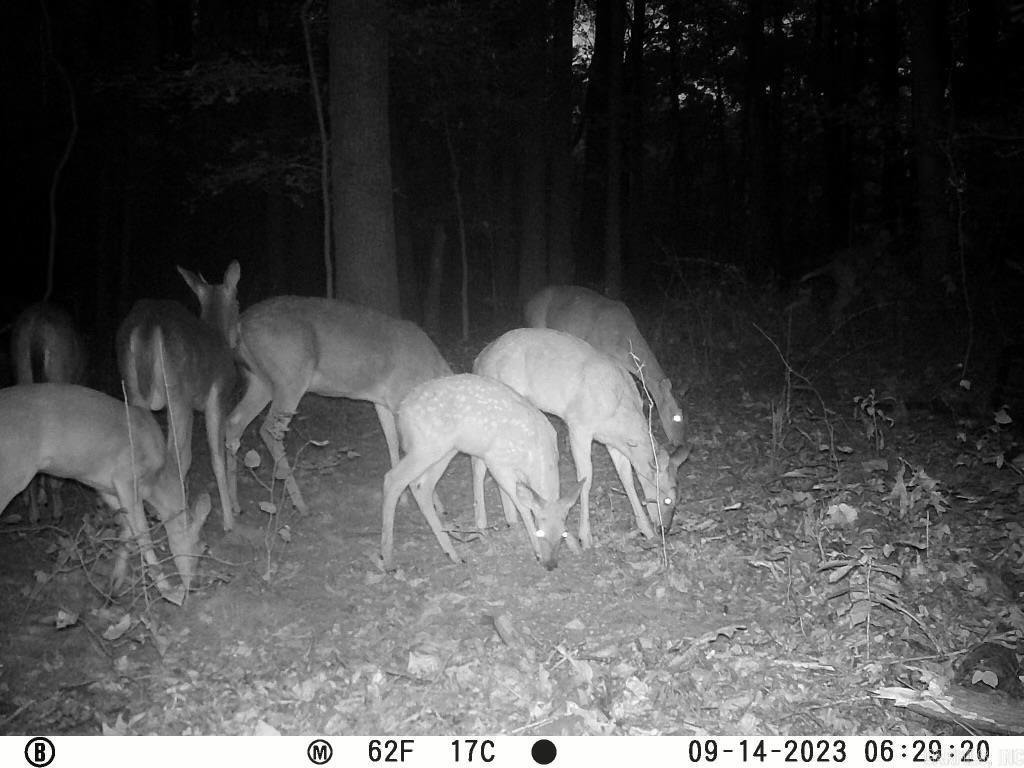 BEEBE OUTLOTS - Residential