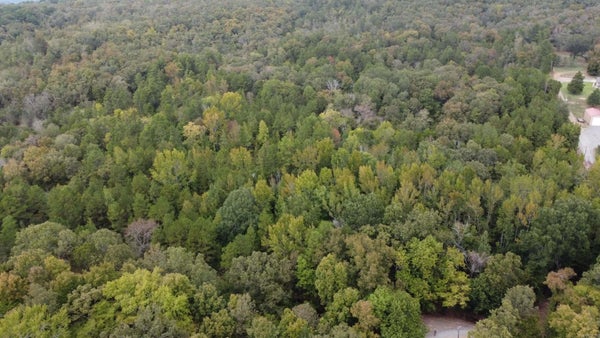 10 HEATH LN, GREENBRIER, AR 72058 - Image 30482c4e987e5fa4ec92ba3632d454a1/3347969776