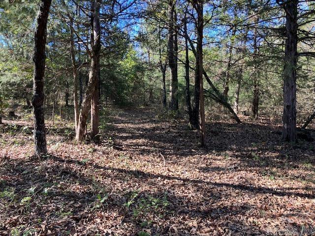 Randolph County - Land