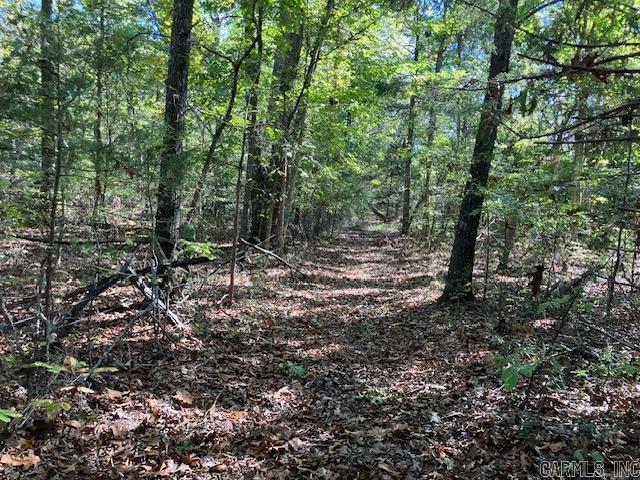 Randolph County - Land
