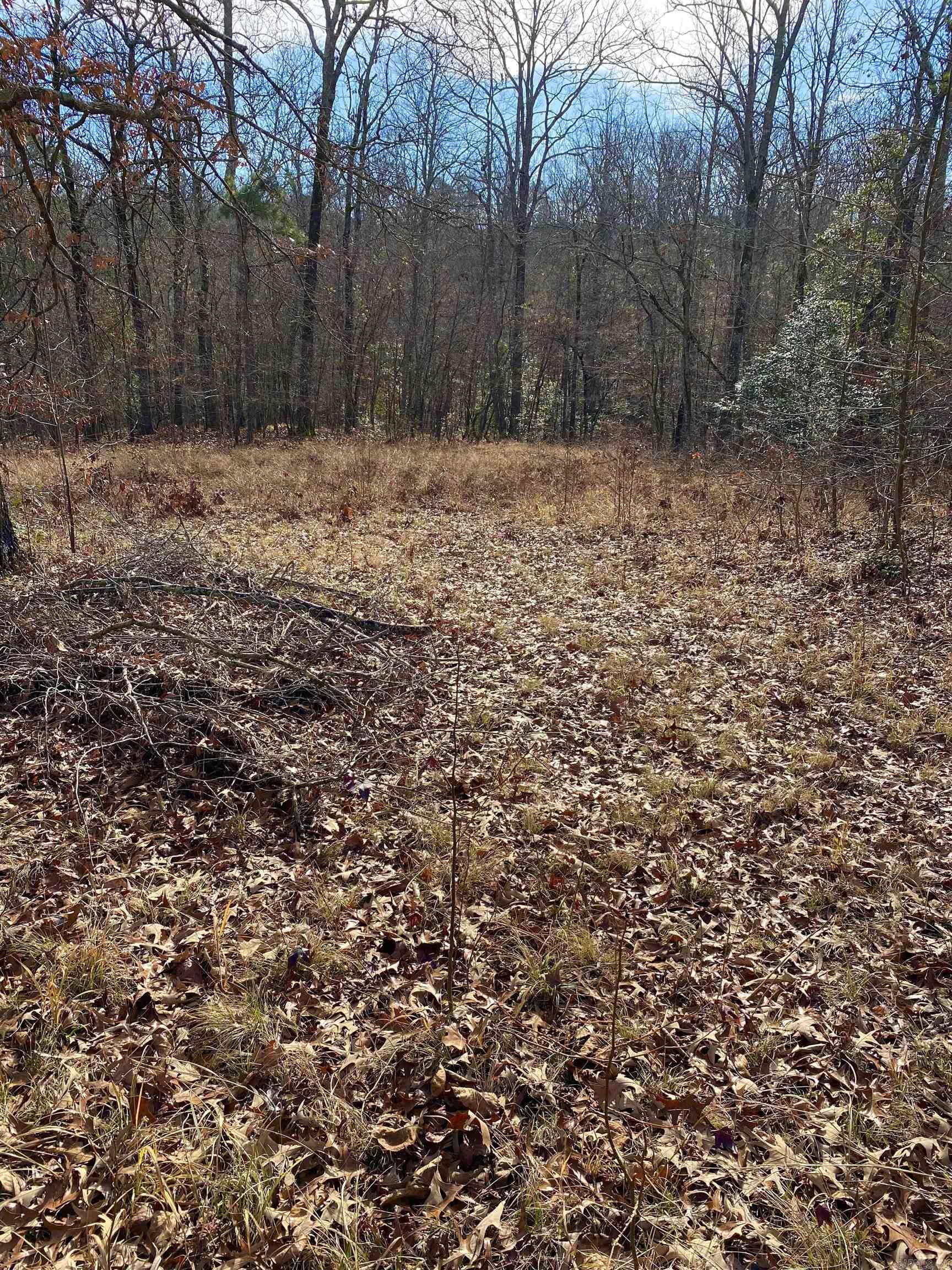 Not in Subdivision - Land