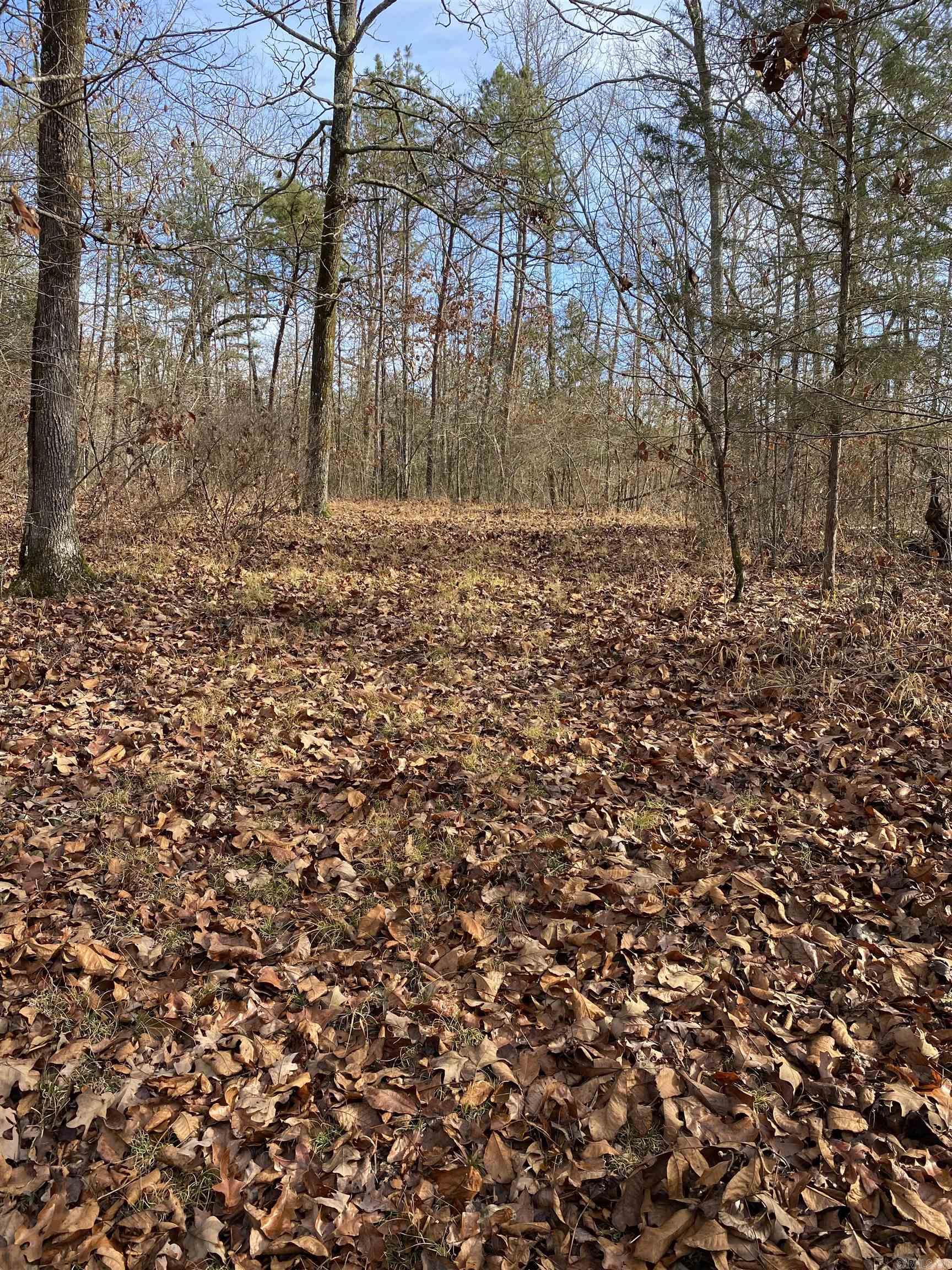 Not in Subdivision - Land