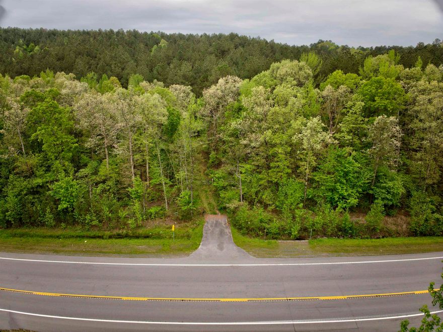 Beautiful land in between Lake Hamilton and Lake Ouachita perfect for your development dreams, recreational purposes, or your future home! Over 47 acres of timber land waiting on you in Garland County. Minutes from Crystal Springs boat ramp this property has so much potential.