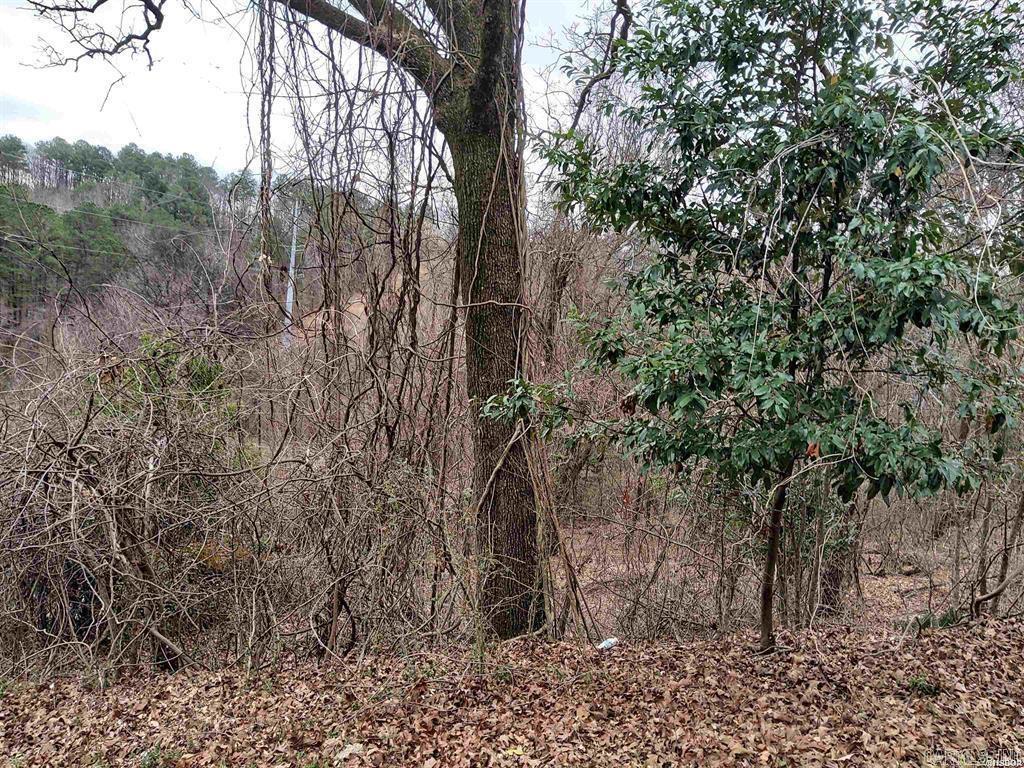 Euclid Heights - Land