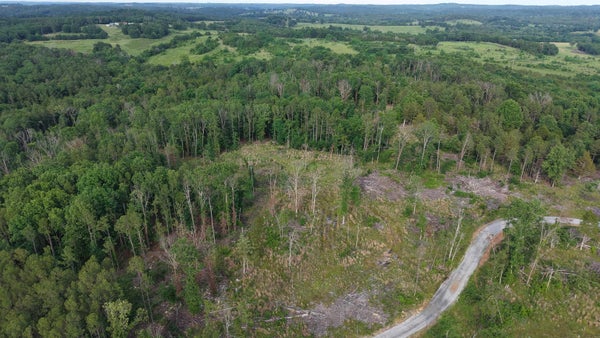 25 KERLEY POINT CV, ELIZABETH, AR 72531 - Image 30a4e67f53c83b26340dee9e8eba03b7/1477043301