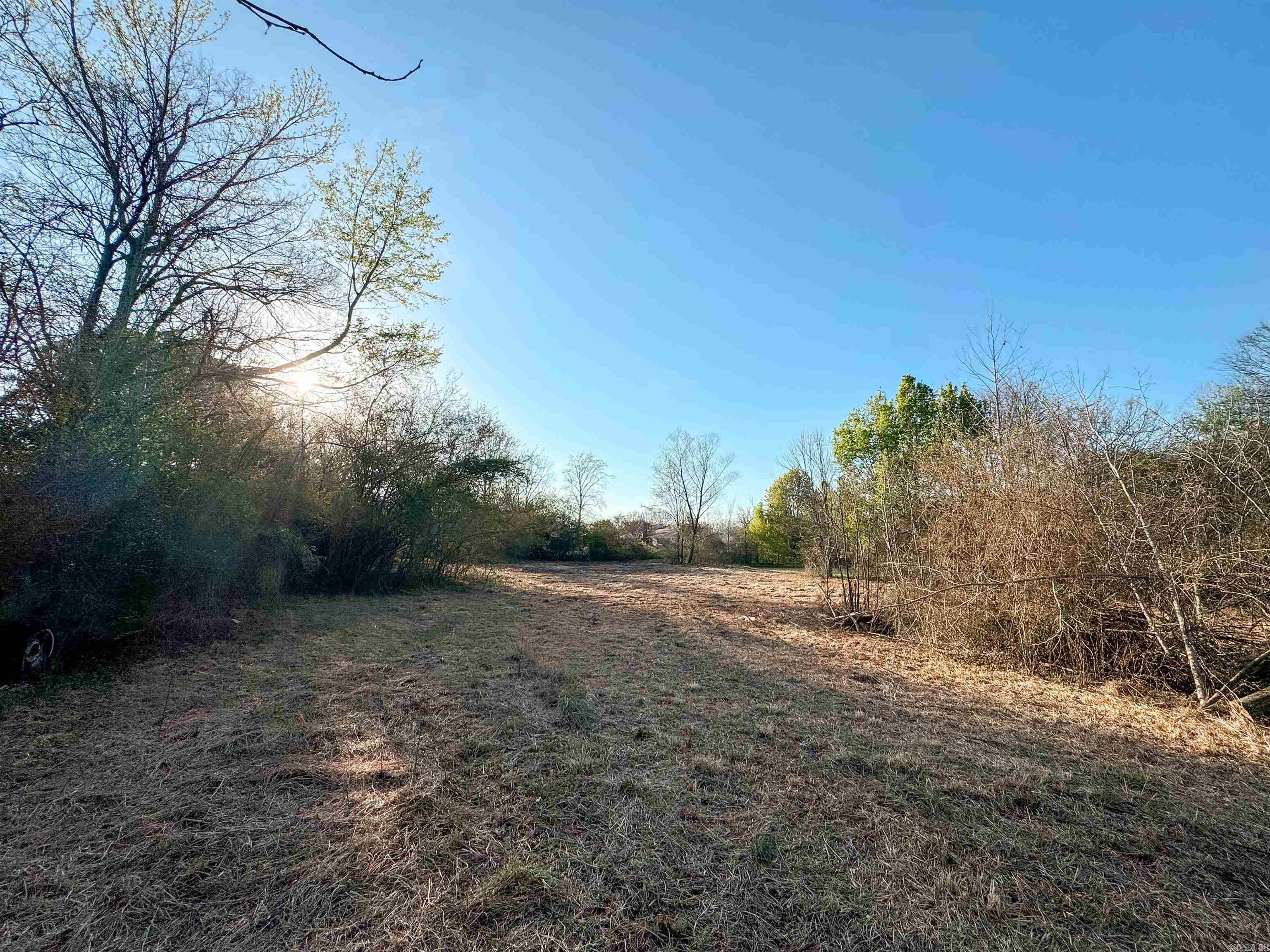 Fox Chase - Residential