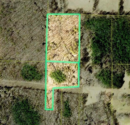 WILLIS RD, WHITE HALL, AR 71602 - Image 30d06889798a6c2af3dacd37c68d3bcb/879598698