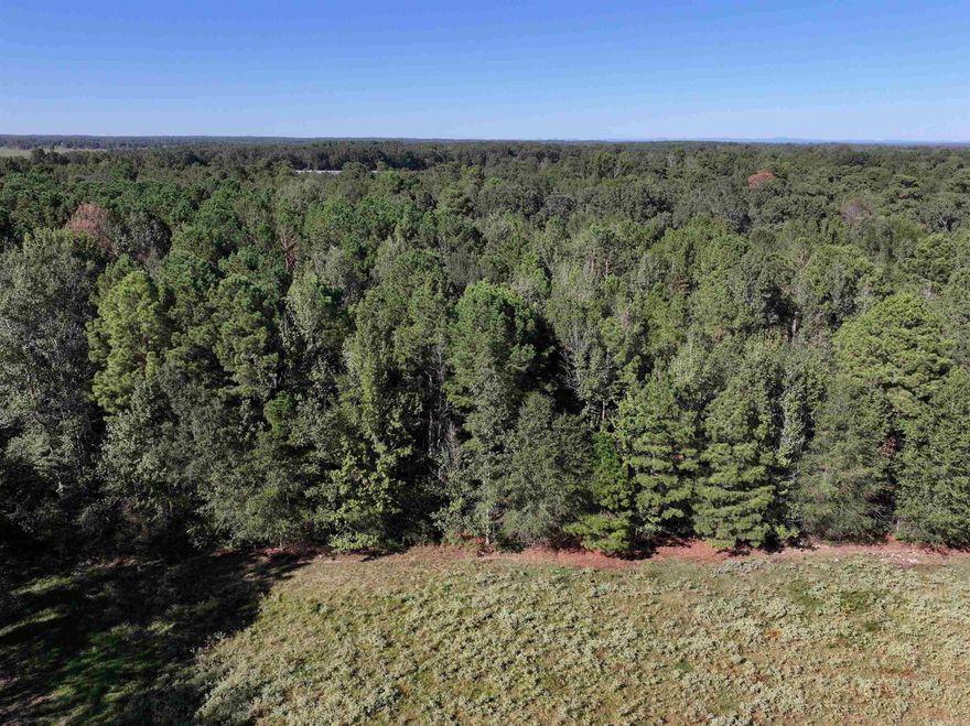 Beautiful land! This gorgeous 10± acres has been treasured for generations and is now ready for new possibilities. Walk among the majestic pine trees, enjoy the small pond, and bring your vision to life on this versatile acreage. With plenty of level ground and open space, the property offers a blank canvas for building, recreation, or developing a rural setup tailored to your needs.