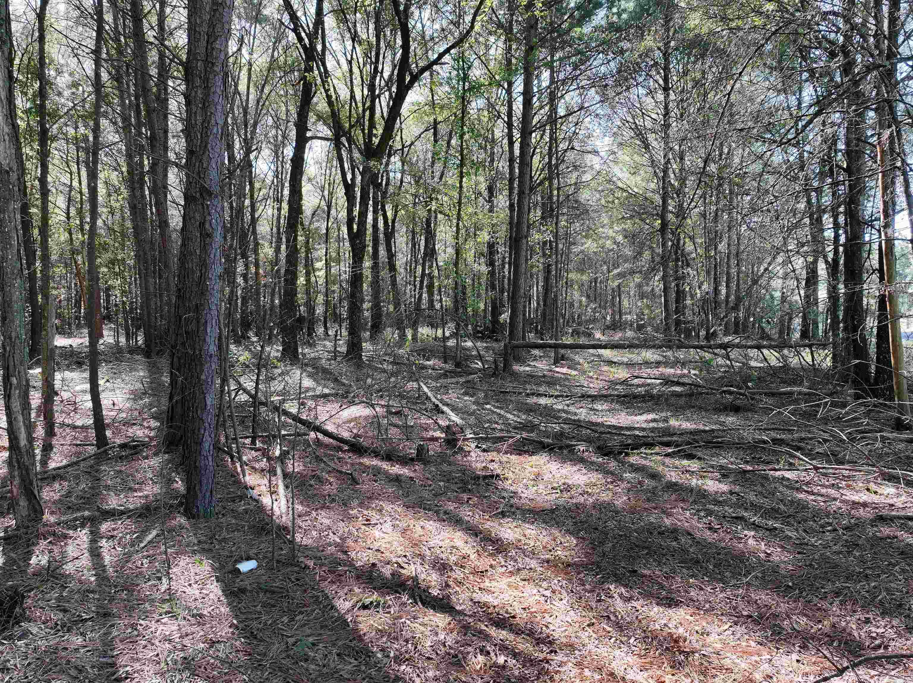 Metes & Bounds - Land