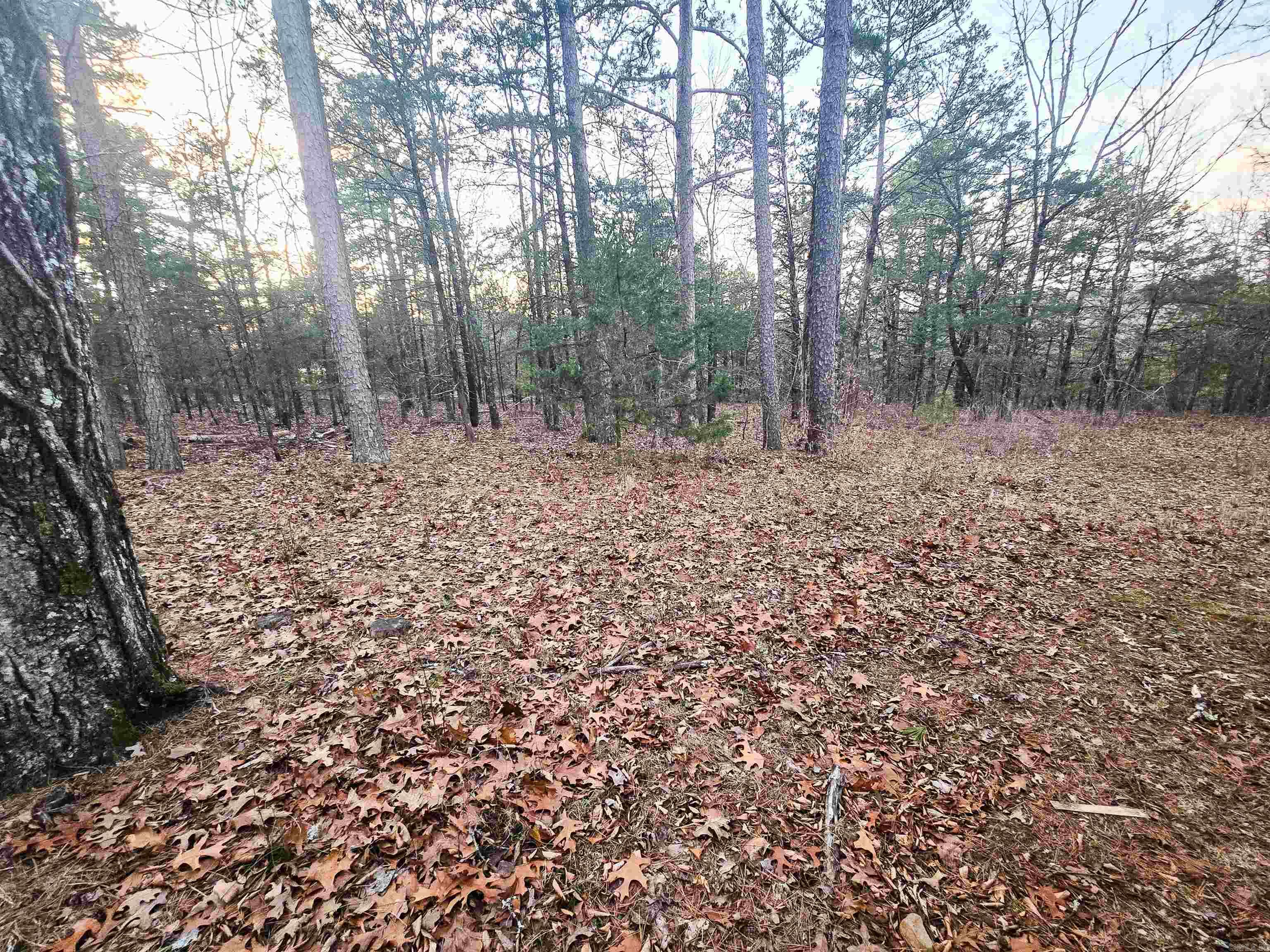 INDIAN HILLS - Residential