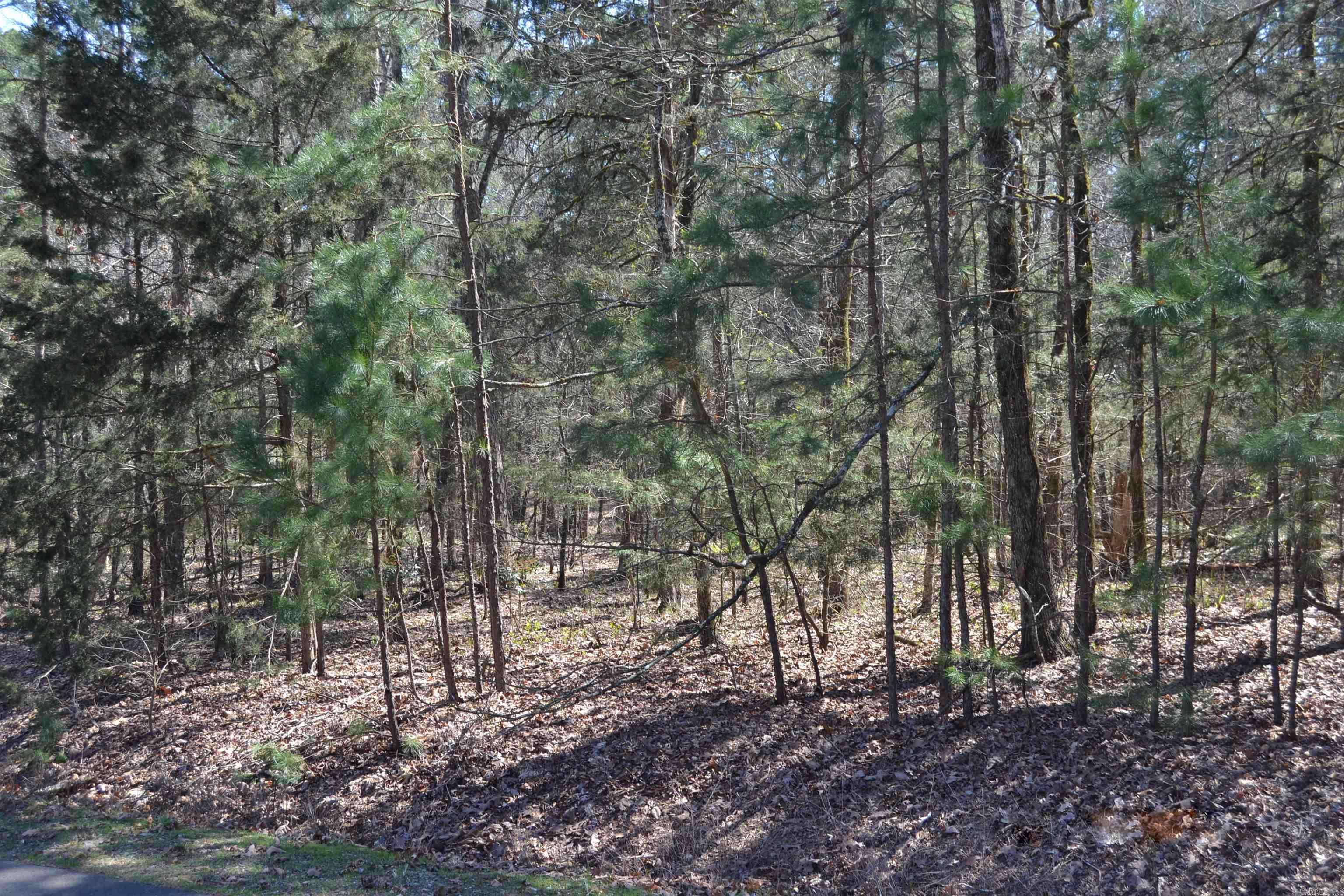 Check out this great .23 acre lot in Hot Springs Village. Make this lot yours to build on to begin enjoying all that Hot Springs Village has to offer. Hot Springs Village is the nation's largest gated community. Hot Springs Village offers 8 championship golf courses and 1 executive golf course. Hot Springs Village has 11 recreational lakes with over 30 miles of trails for walking and hiking for you to enjoy the great outdoors. New buyers to Hot Springs Village have a $250.00 buy in fee collected at closing.