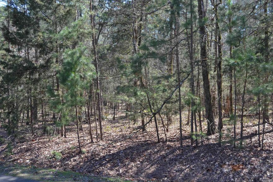 Check out this great .23 acre lot in Hot Springs Village. Make this lot yours to build on to begin enjoying all that Hot Springs Village has to offer. Hot Springs Village is the nation's largest gated community. Hot Springs Village offers 8 championship golf courses and 1 executive golf course. Hot Springs Village has 11 recreational lakes with over 30 miles of trails for walking and hiking for you to enjoy the great outdoors. New buyers to Hot Springs Village have a $250.00 buy in fee collected at closing.