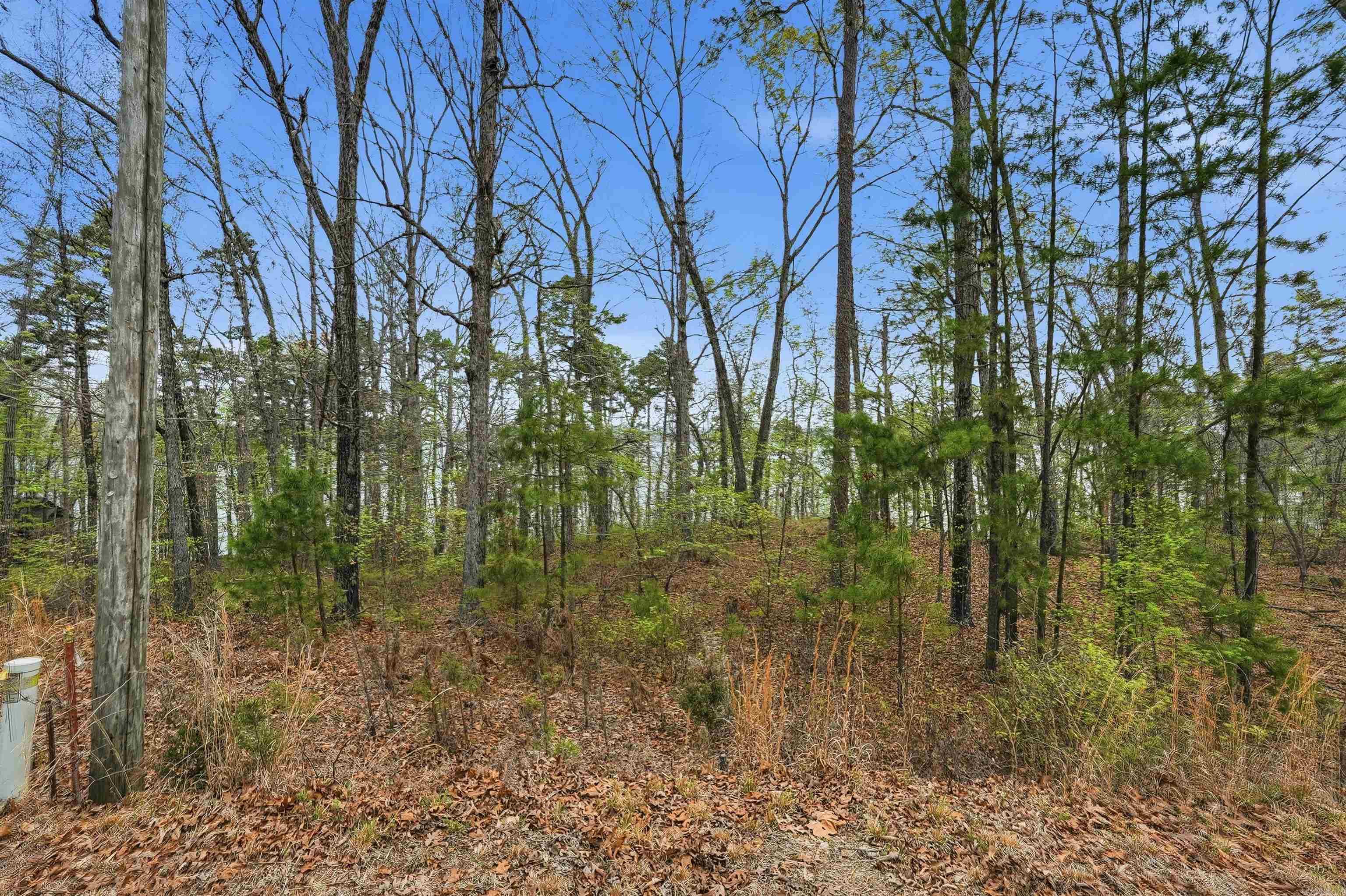 Diamond Bluff Estates - Land