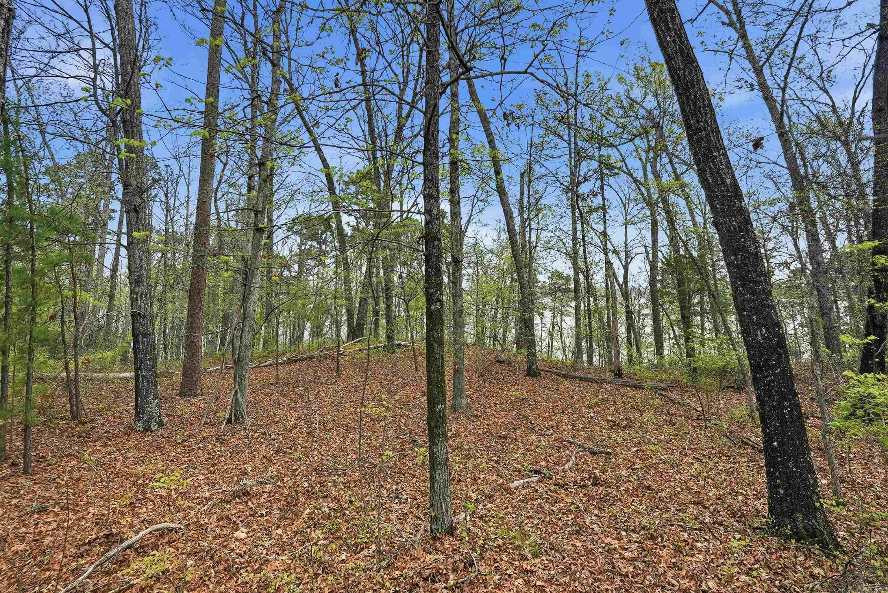 Diamond Bluff Estates - Land