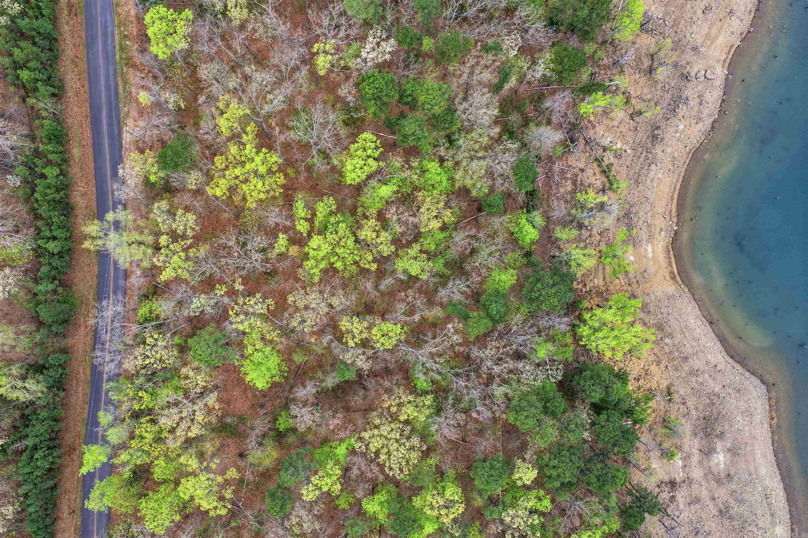 Diamond Bluff Estates - Land