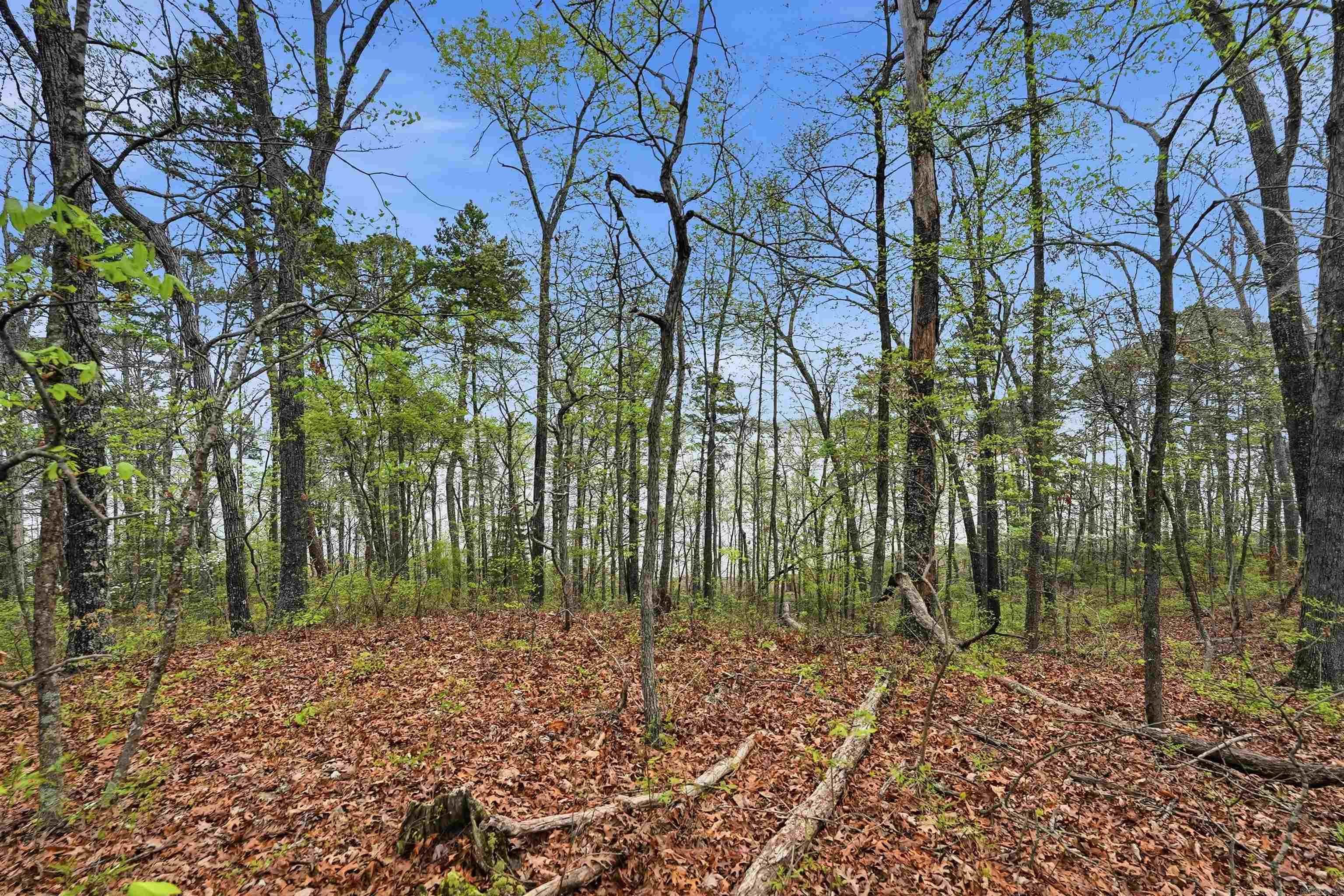 Diamond Bluff Estates - Land