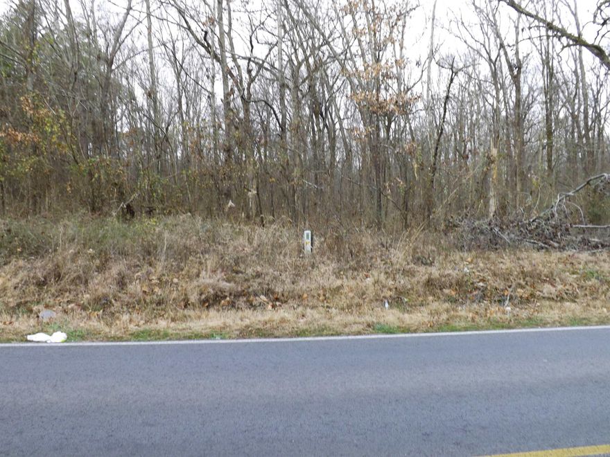 Come discover the protenial of this awesome wooded 2.5 acres. Build your dream home.