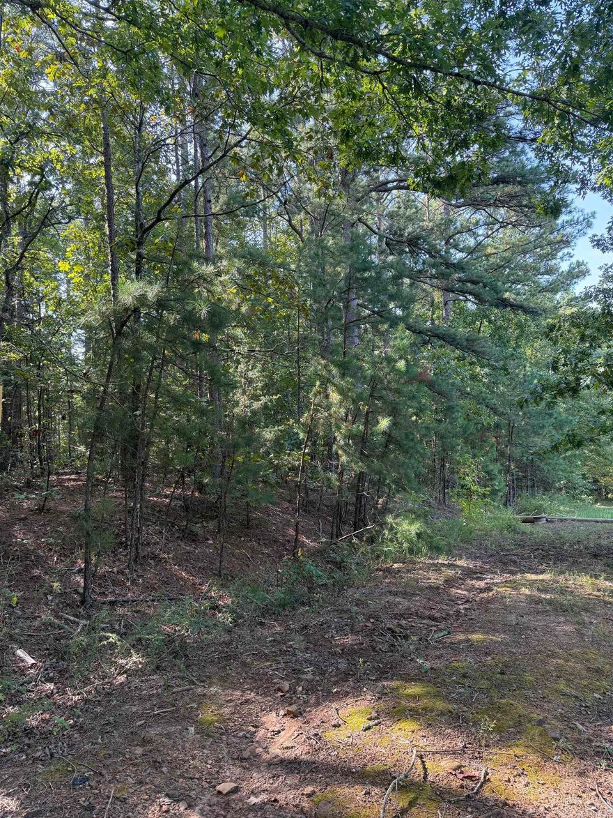 Looking for the perfect spot to get away? This beautiful, unrestricted,  2-acre piece of land sits at the end of a quiet, tree-lined lane.  Just 2 miles from the Burnt Ridge boat launch, you’ll be minutes from enjoying the water on Greers Ferry Lake!  With power and water nearby this is the perfect place to build your dream home, a weekend cabin, or bring your RV.  (Property joins 5432 Burnt Ridge Rd, Shirley) See agent remarks.