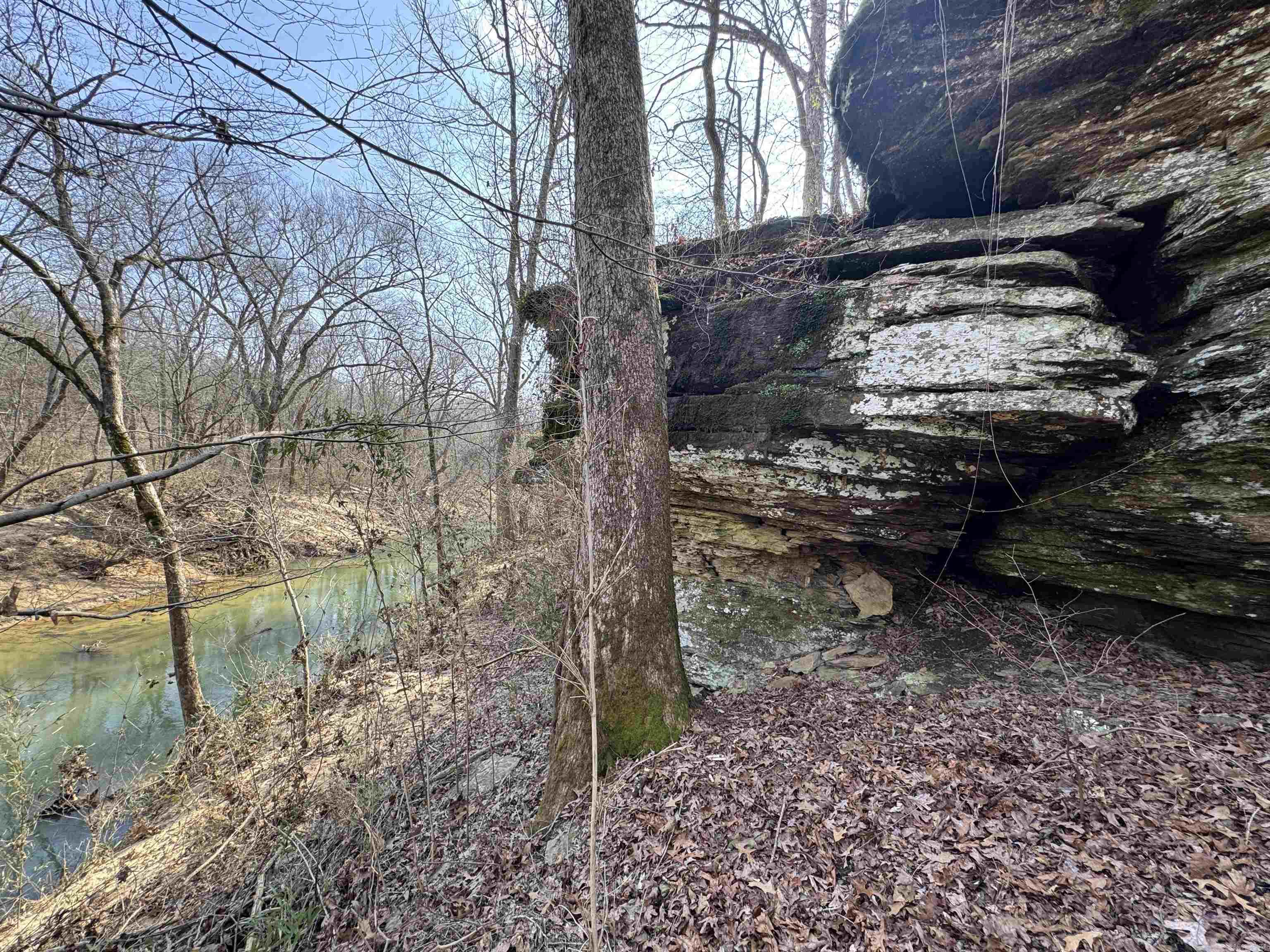 Rare 27.62 acre property with 0.4 miles of North Cadron Creek frontage and stunning bluff views. Multiple building sites, mature trees, and established trails add to the charm. Wildlife abounds, making this a perfect retreat. Access is easy with an existing road leading directly to the property. Deeded Easement already in place! Utilities are nearly in place, with a power pole on-site and a water meter ready for installation. A beautiful, private location with endless possibilities!