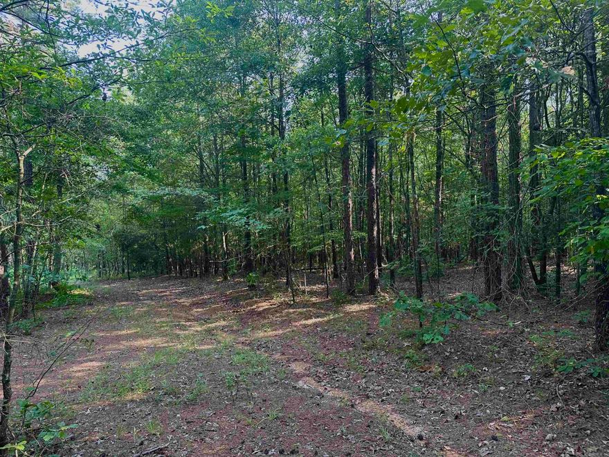 Escape to your own secluded oasis in Cove, Arkansas. This charming 5-acre (m/l) property offers a wooded retreat with no restrictions, allowing you the freedom to build your dream home exactly as you envision. Nestled just a short distance from town, this peaceful location is perfect for those seeking tranquility and privacy with a creek to splash around in. With electric already at the road, all that's left to do is bring your imagination and start planning your idyllic countryside escape. Just 10 minutes away from the National Forest, outdoor enthusiasts will delight in the endless opportunities for hiking, hunting, and exploring. Don't miss out on this prime piece of real estate - schedule a showing today and make Cove your new home sweet home.