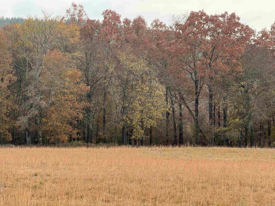 Looking for a great place to hunt?  Look no further, this acreage is just what you need!  It has over 100 acres of timber and is surrounded by thousands more.
