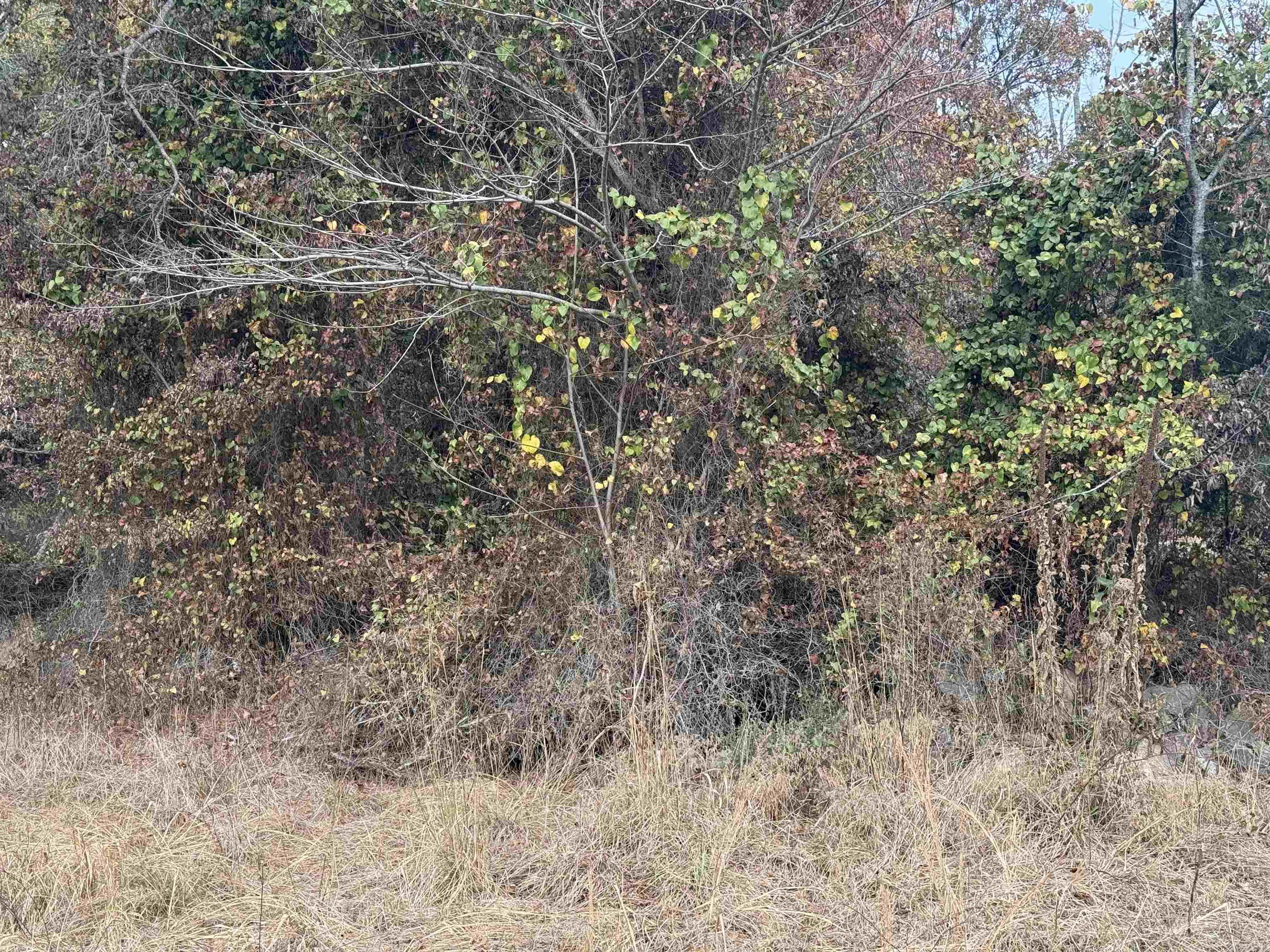 Not in Subdivision - Land