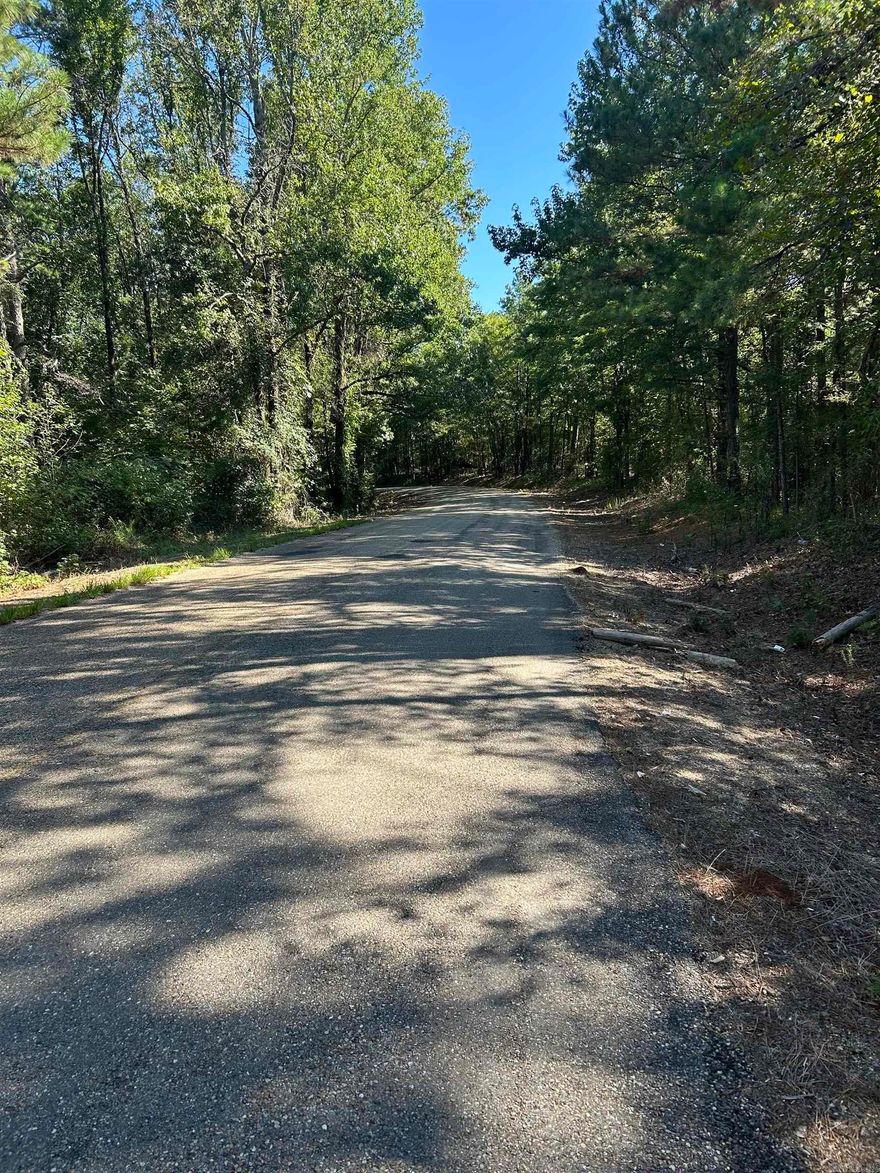 LAND FOR SALE:  29.06 surveyed acres, 7 miles north of Nashville.  Land is situated on both sides of the Nathan Road.  Beautiful large white oak, pine timber and dogwoods cover this mix of hills and flat land. Beautiful home site and/or great hunting location.  Rural water and electricity available at the road. Contact our office for more details.