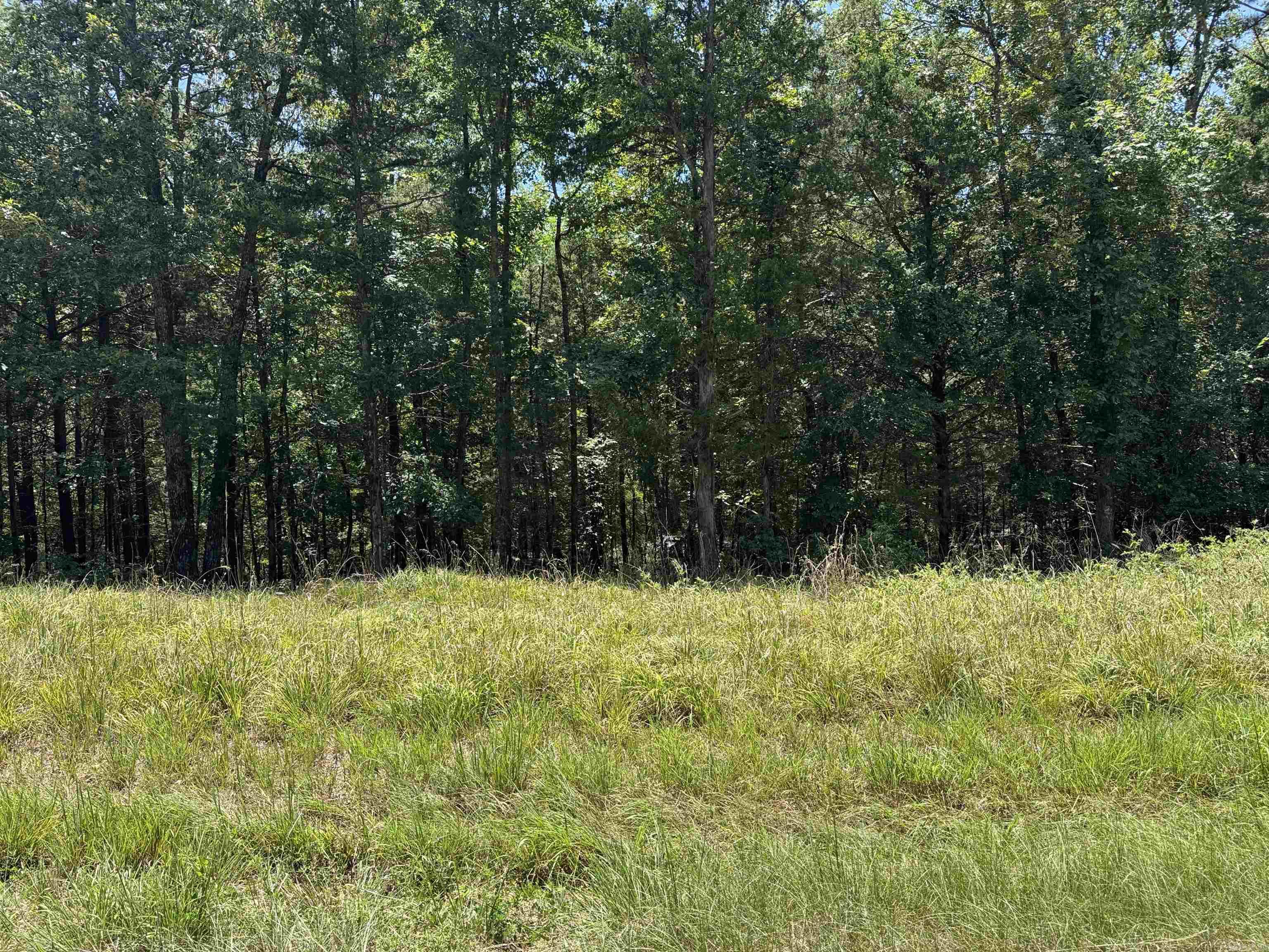 This is a great piece of property for building your dream home. Boat launch and air strip in subdivision. Quiet neighborhood and just minutes from town. This wont last long so drive buy and give us a call today.