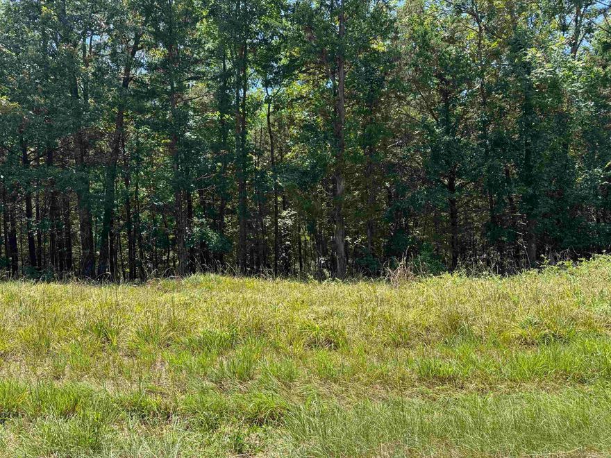 This is a great piece of property for building your dream home. Boat launch and air strip in subdivision. Quiet neighborhood and just minutes from town.  This wont last long so drive buy and give us a call today.