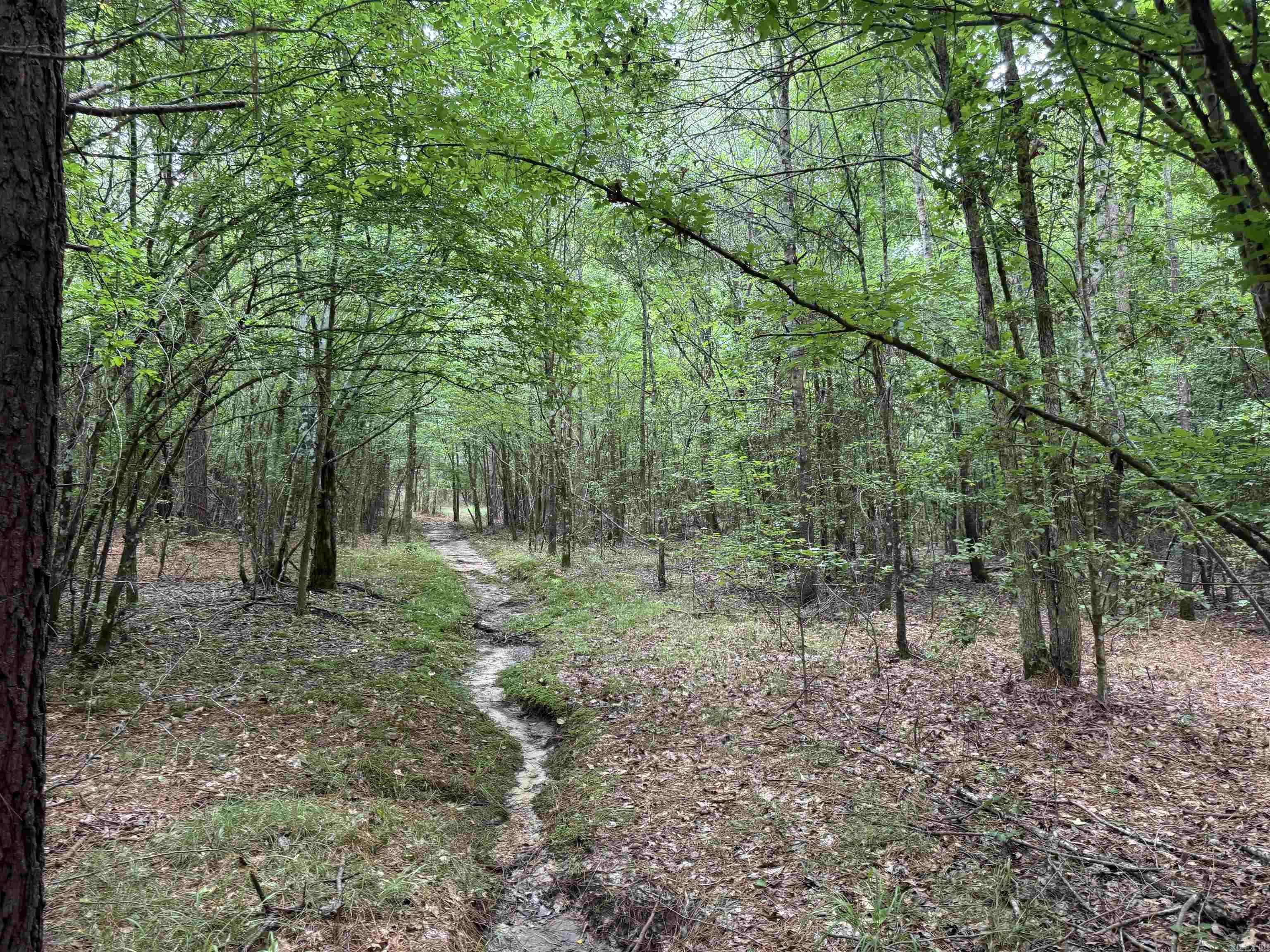 Not in Subdivision - Land