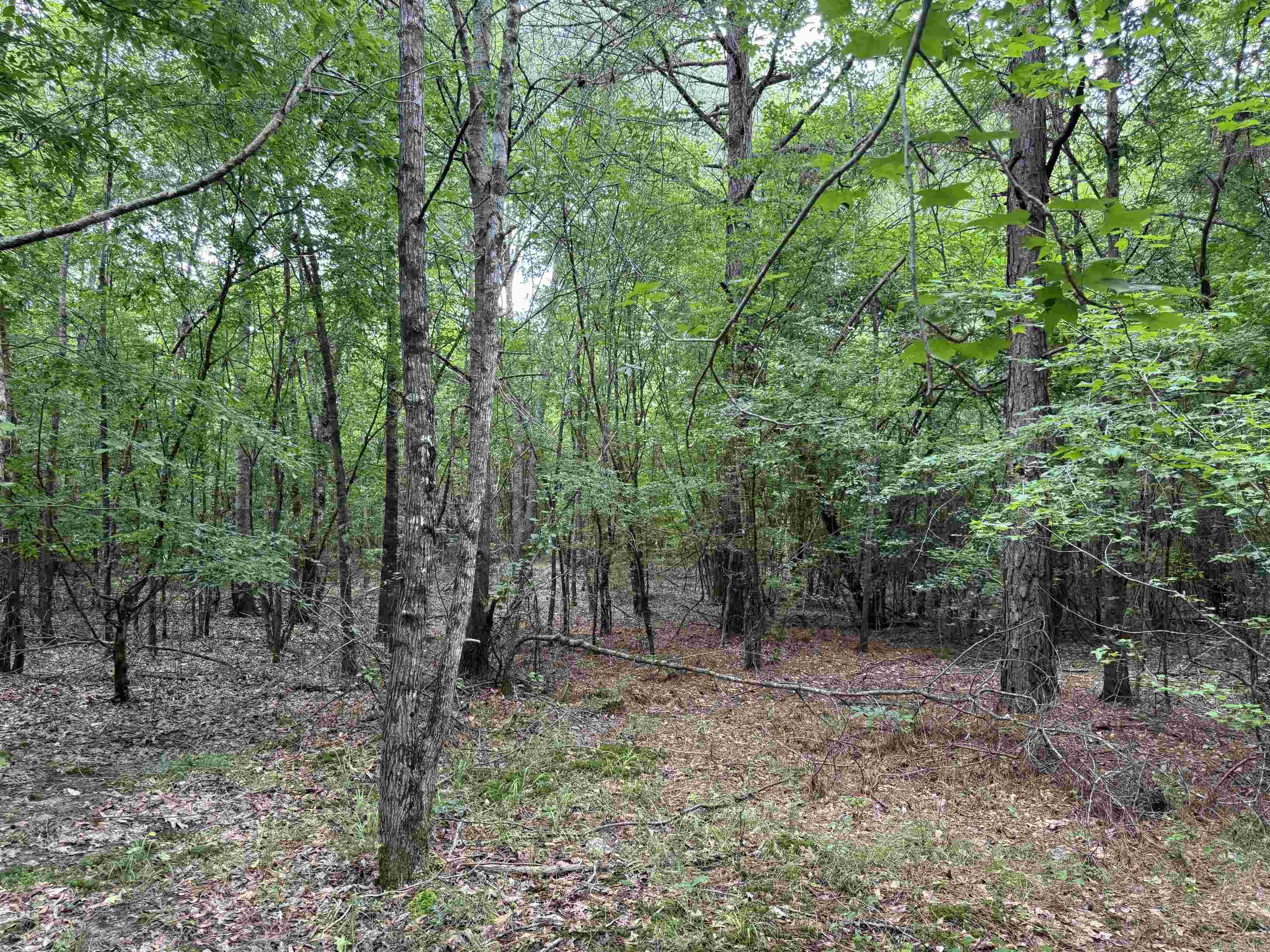 Not in Subdivision - Land