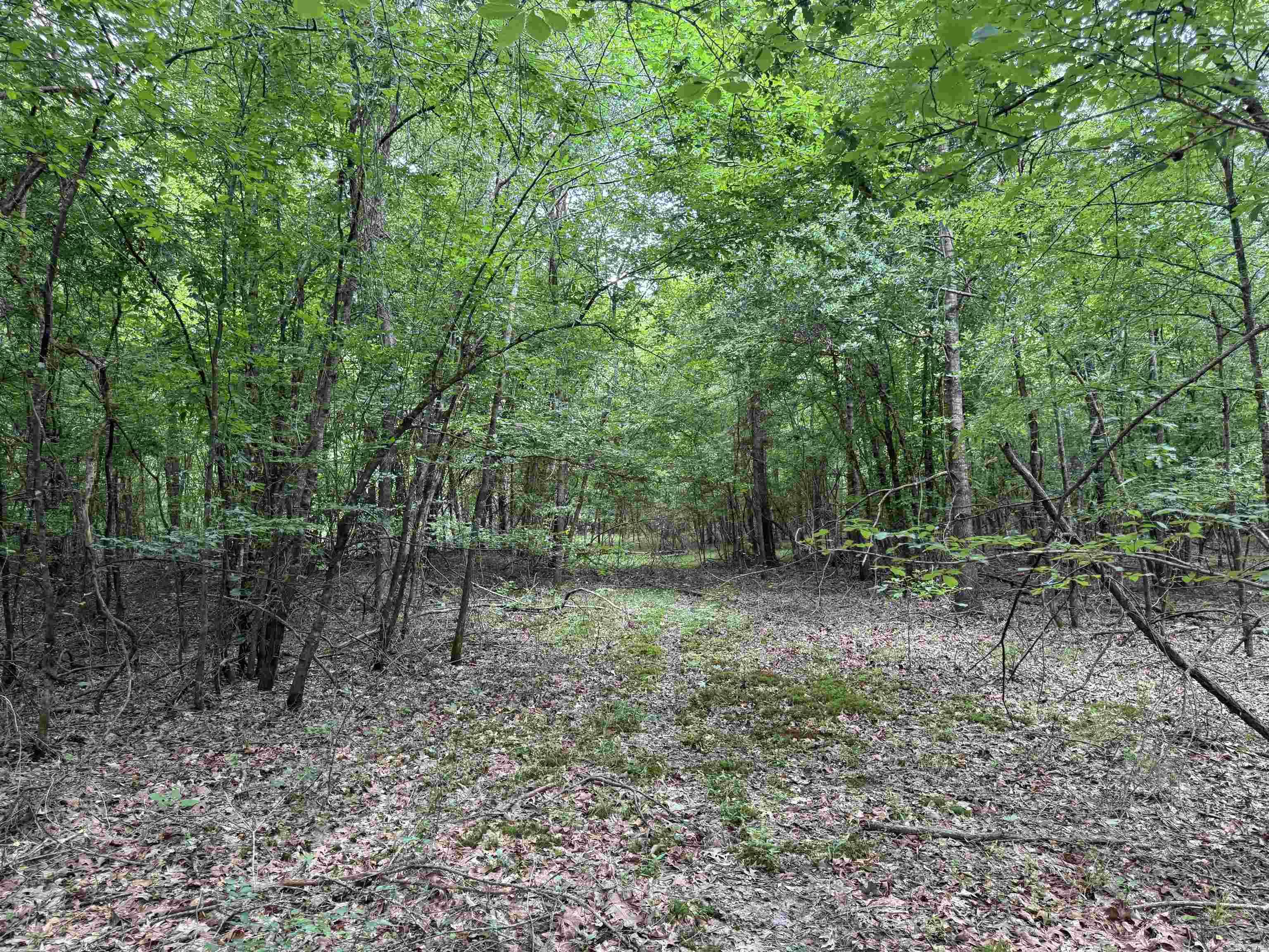 Not in Subdivision - Land