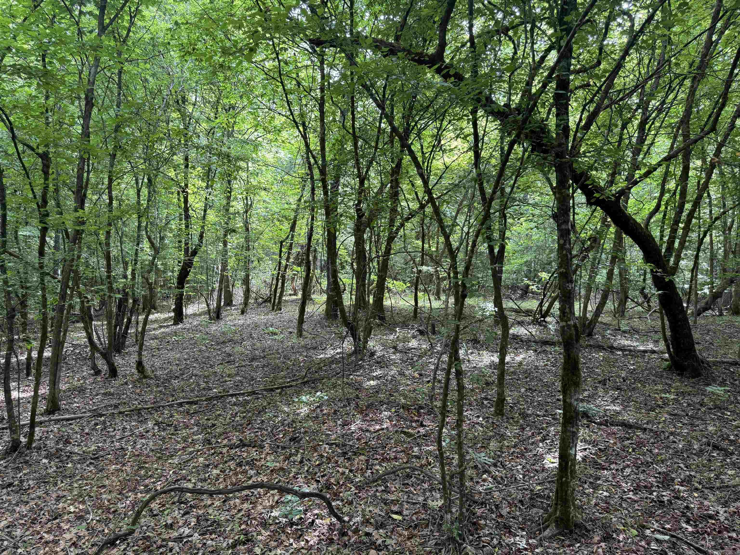 Not in Subdivision - Land