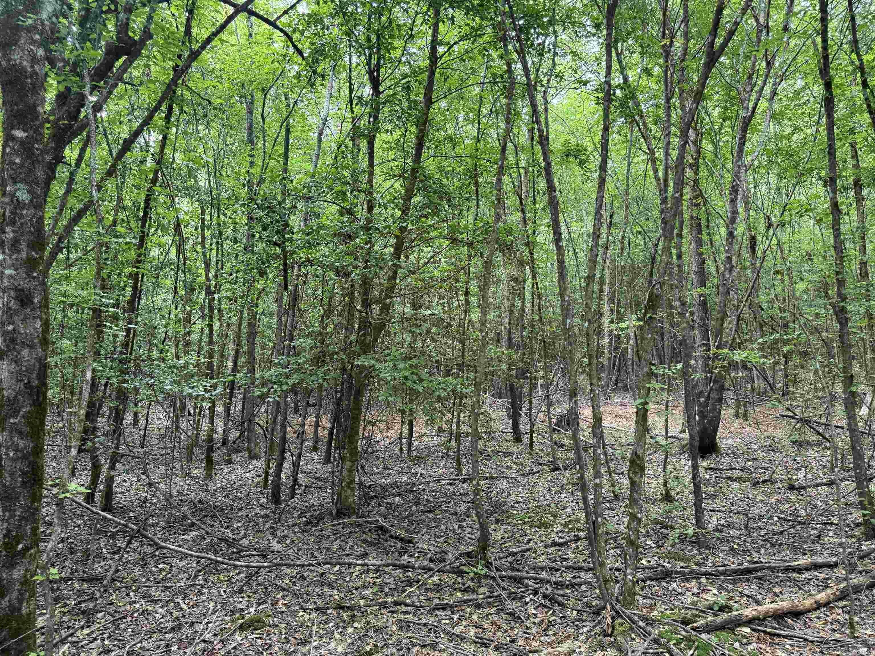 Not in Subdivision - Land