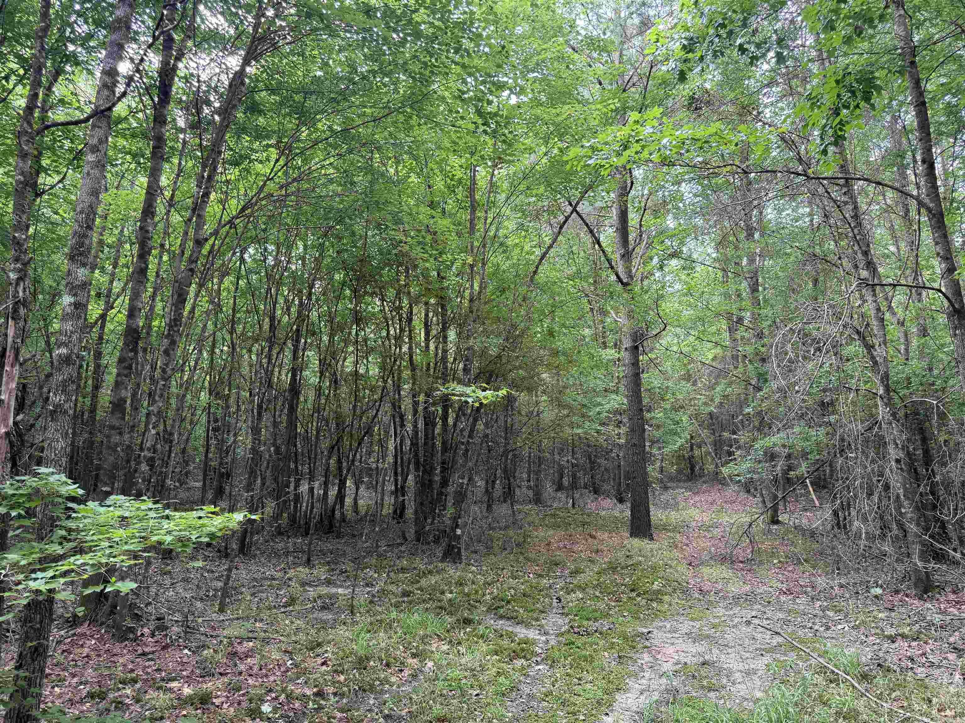 Not in Subdivision - Land