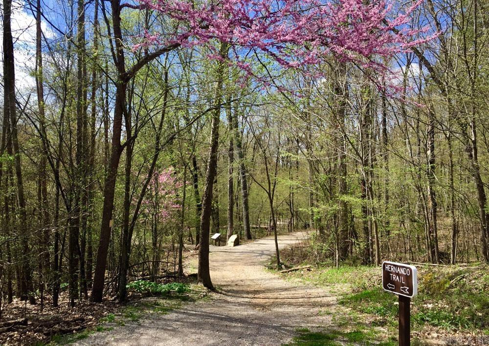 Madrid Courts - Residential
